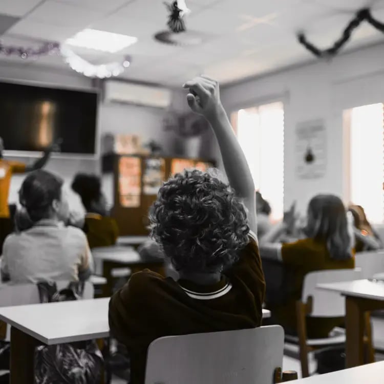 Primary school students with hands raised in class, a large classroom TV visible at the front Primary school students with hands raised in class, a large classroom TV visible at the front
